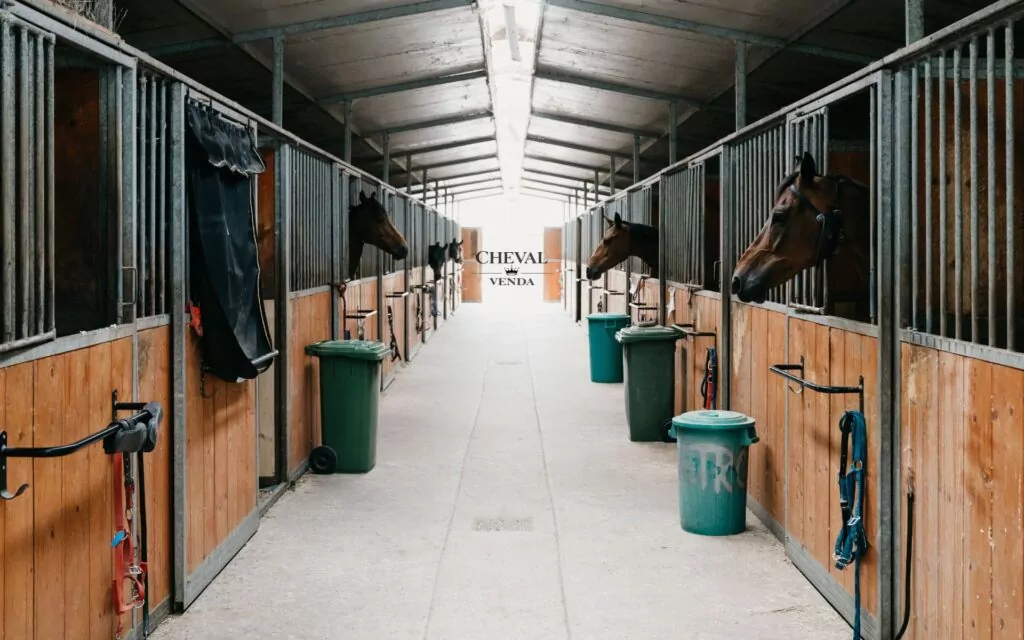 Stalltillbehör