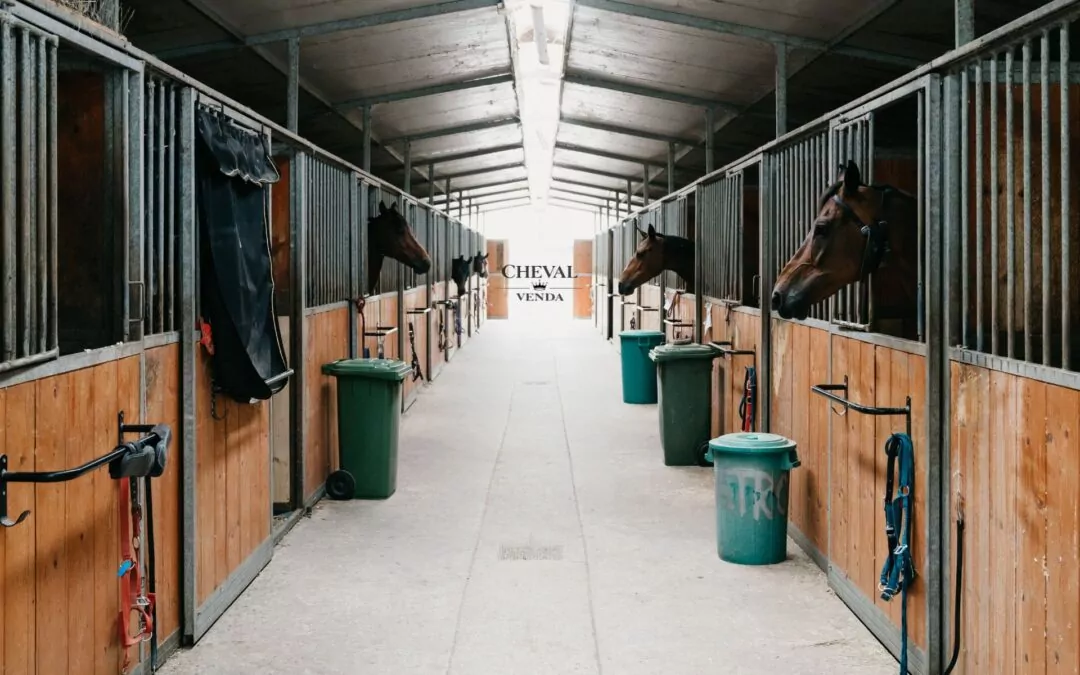 Stalltillbehör