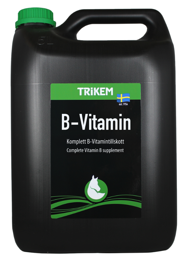 Trikem Gastro Bvitamin