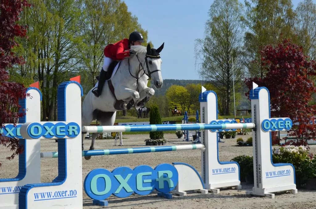 Vit häst hoppar över en oxer
