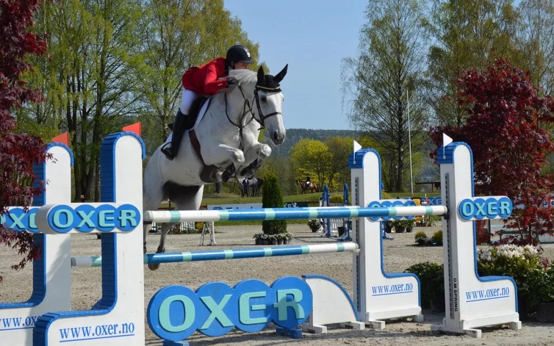 Vit häst hoppar över en oxer