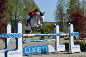 Vit häst hoppar över en oxer