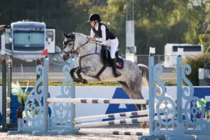 Ryttare hoppar hinder med grå häst