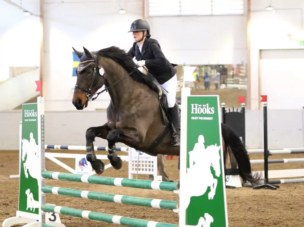 Ryttare hoppar hinder med häst inomhus