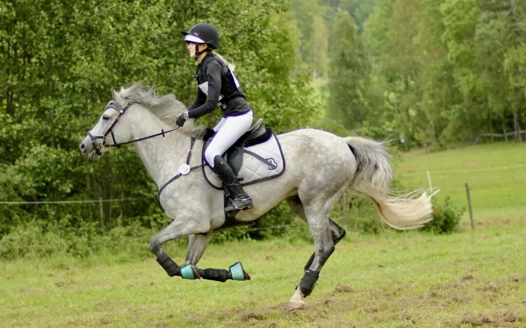 Ryttare på grå häst i galopp