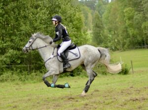 Ryttare på grå häst i galopp